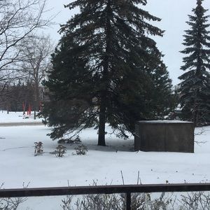 Meet your Posher, Raja